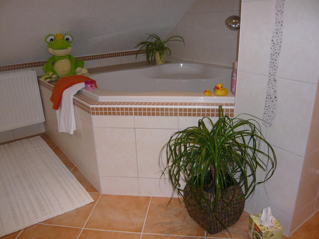 バート・ザルツンゲンPummpaelzhofアパートメント 部屋 写真